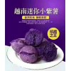 【易货大王】B0003  越南紫薯